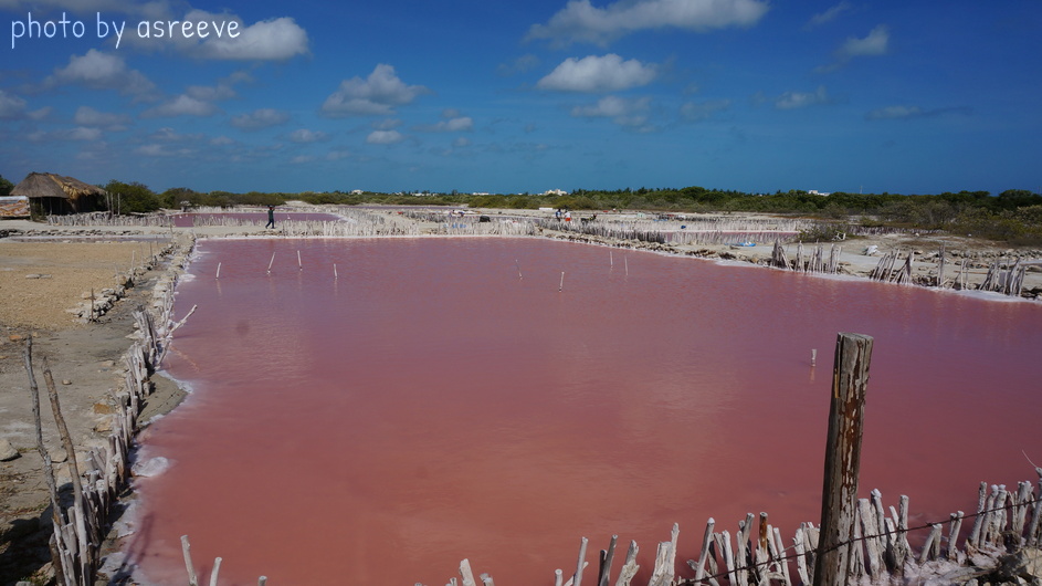Salinera along the north coast of the Yucatan. The red color is due, at least in part, to micro-organisms with red pigment that can survive in these hypersaline waters.