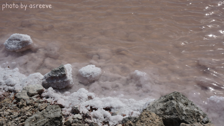 Rock salt (halite) precipitating on the rocks.