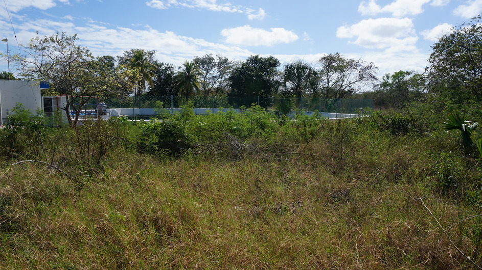 A view of the cenote and Celestún water supply.