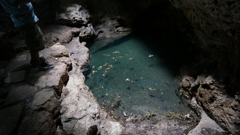 Contemplating the cenote pool