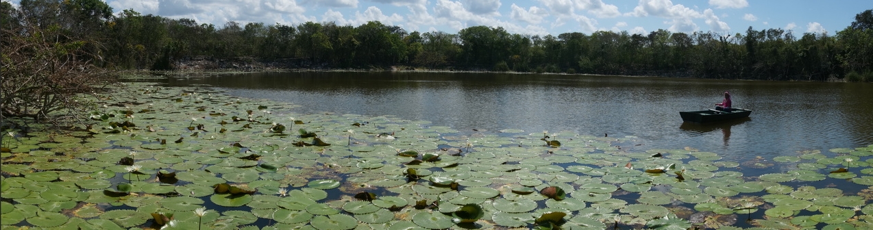 Eli rowing over to service the geochemical monitoring station.