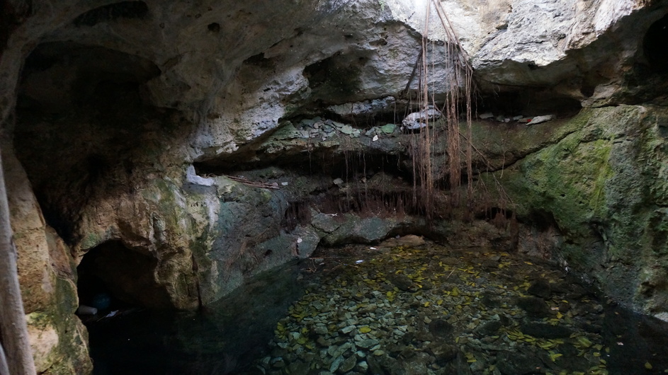 Cenote pool